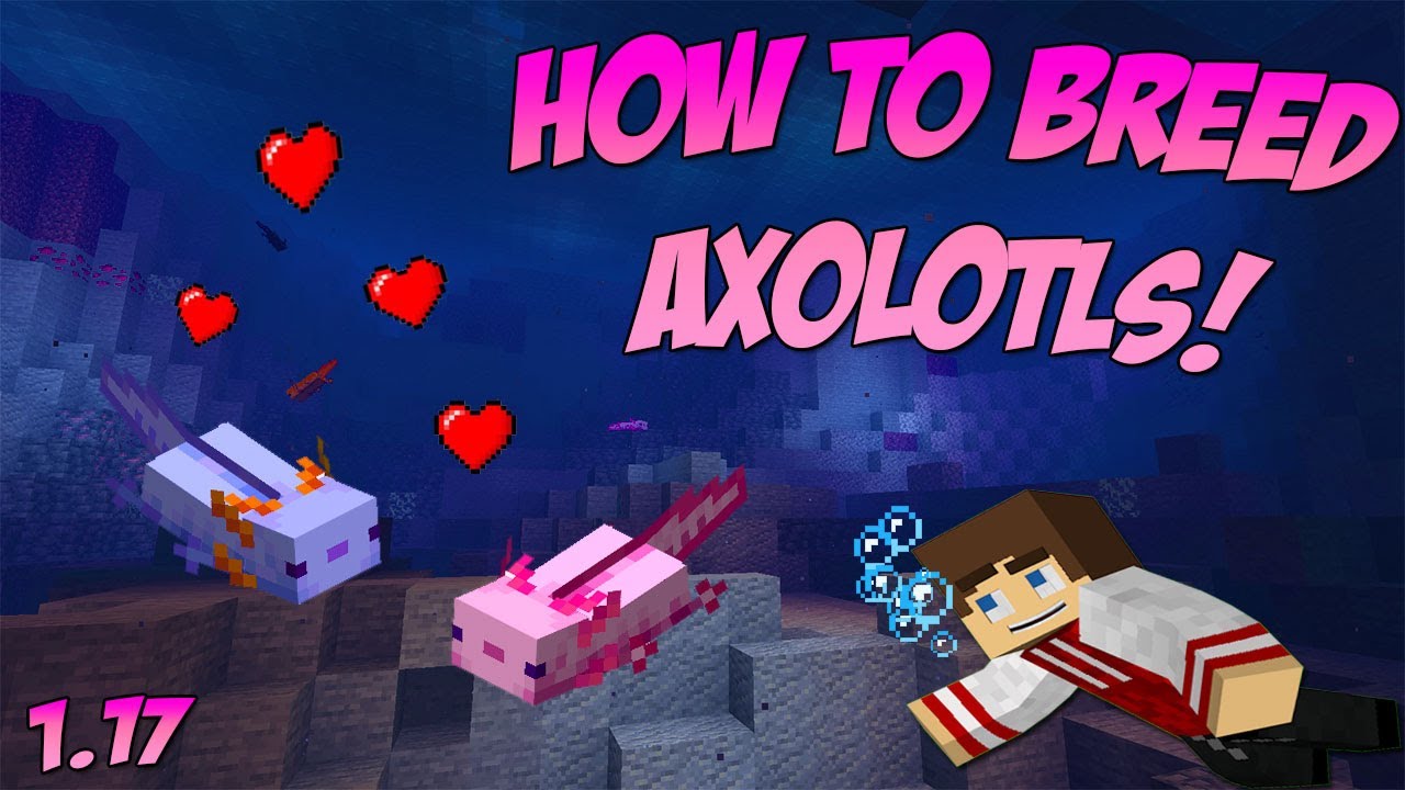 How To Breed Axolotls In Minecraft?